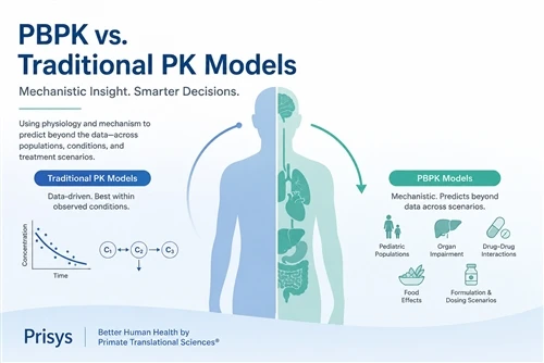 PBPK vs. Modele compartimentate: de ce contează PBPK